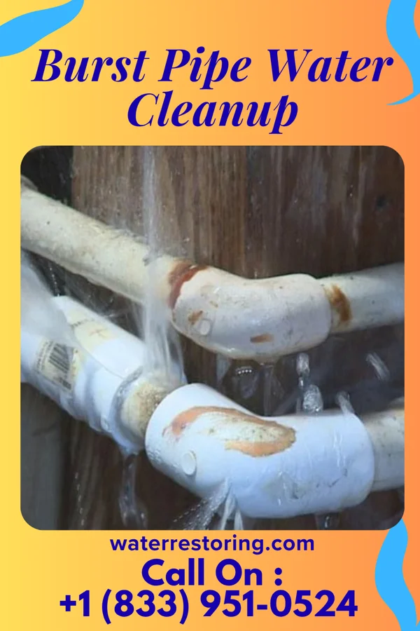 Burst Pipe Water Cleanup in Clifton Heights, PA
