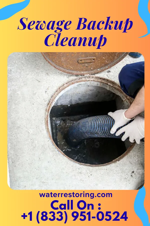 Sewage Backup Cleanup in Clifton Heights, PA