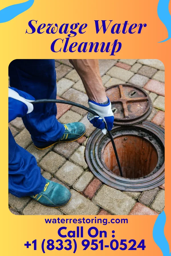 Sewage Water Cleanup in Clifton Heights, PA